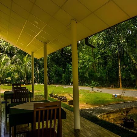 Little Ele Safari Lodge Udawalawe Buitenkant foto