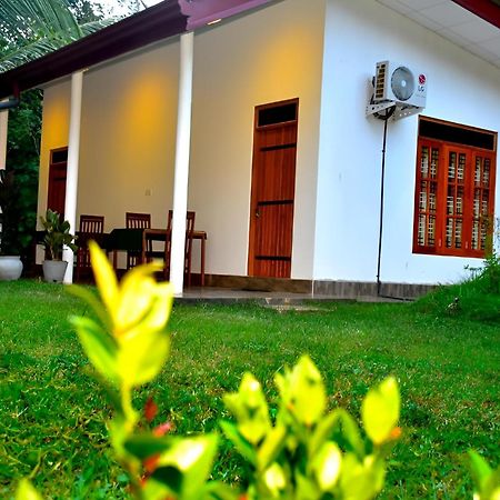 Little Ele Safari Lodge Udawalawe Buitenkant foto