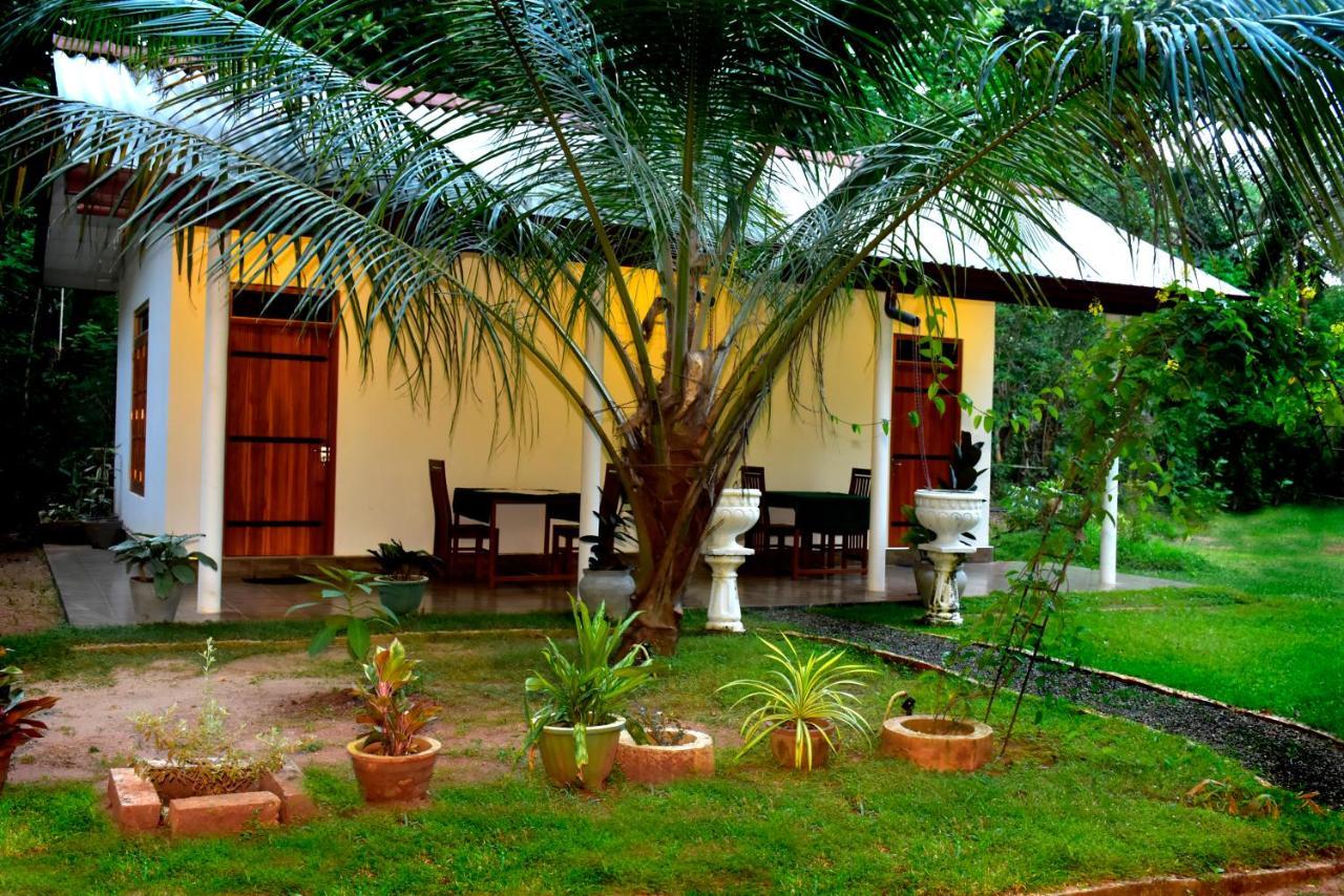 Little Ele Safari Lodge Udawalawe Buitenkant foto